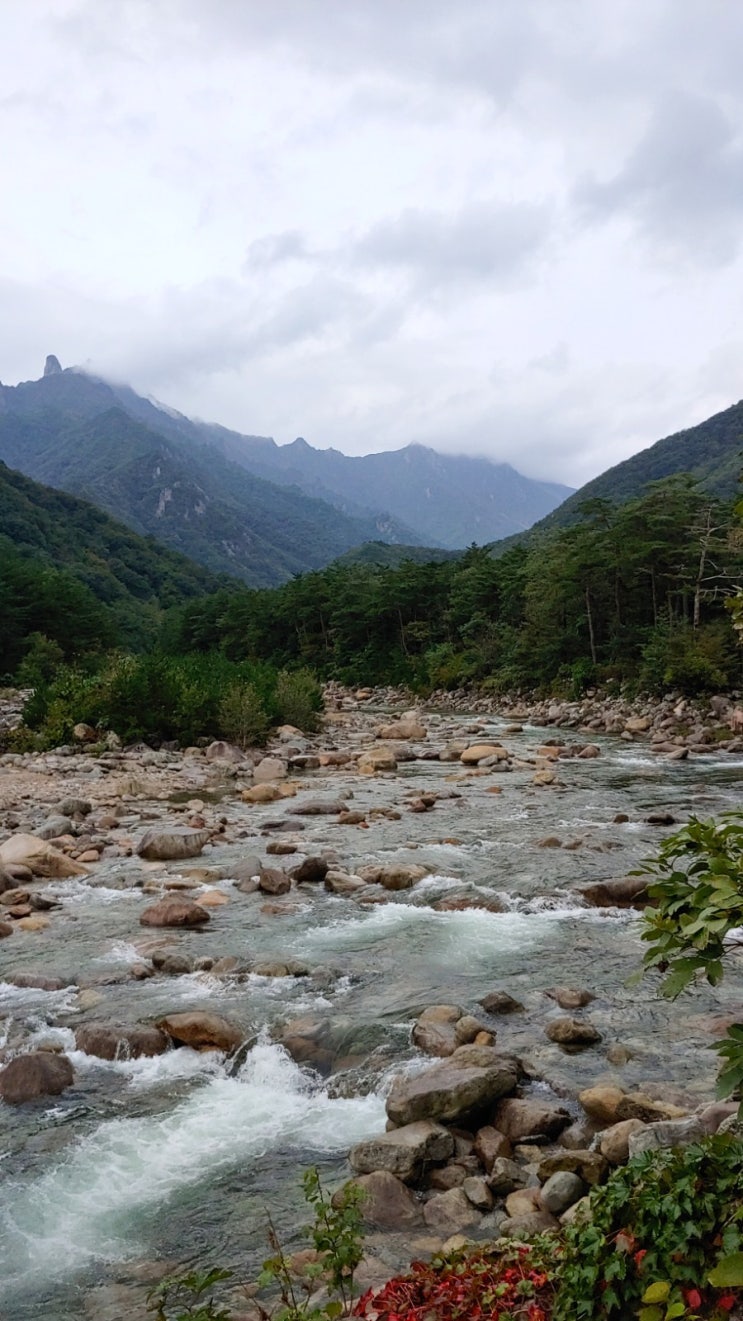  설악산여행 / 그린라군 호텔 /설악산 케이블카 /설악산 권금성