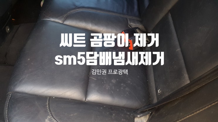  대전 스팀 세차 관저동 자동차 실내크리닝 으로 입소문 난곳