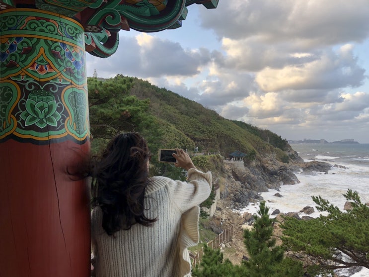  19호 태풍 하기비스로 영금정 거대 파도 & 낙산사 강풍 * 외옹치항 바다향기로 통제