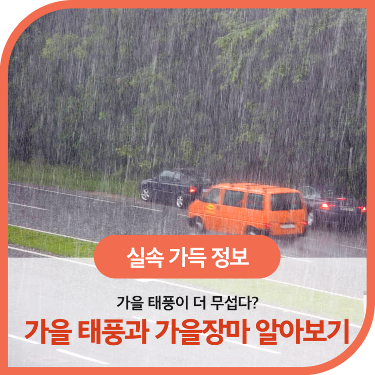  가을 태풍이 더 무섭다? 가을 태풍과 가을장마 알아보기