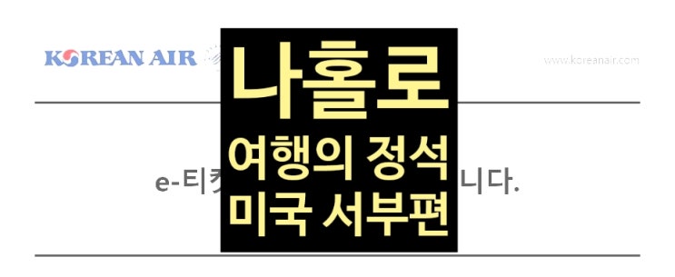  [11박 14일 미서부여행] 미국여행 Day1 - ①: 직장인, 프리러그(FreeLugg)로 프리하게 공항가기!