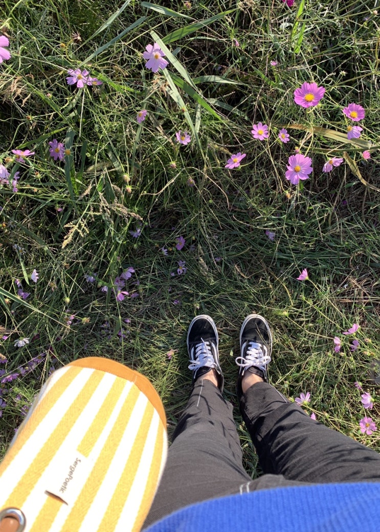  생일주간 일상 블로그.2
