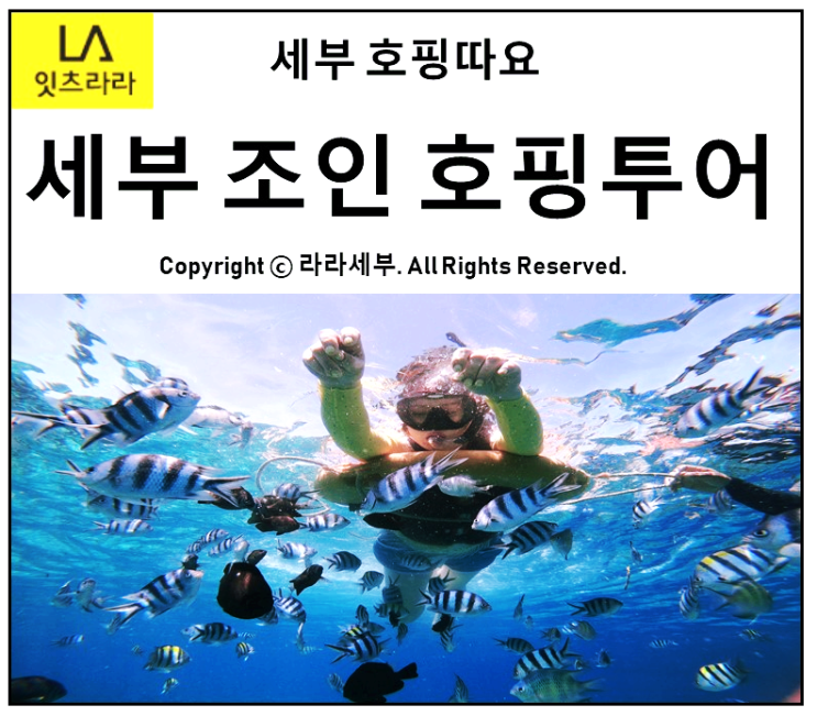  라라와 세부호핑투어예약 (호핑따요)