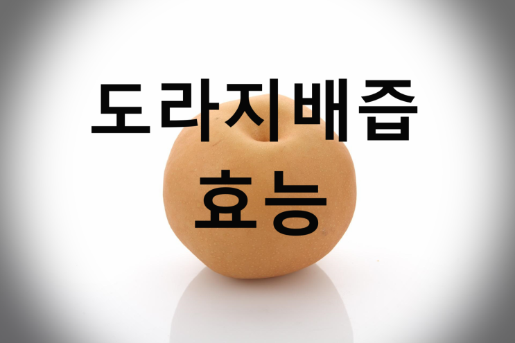  기관지에 탁월한 도라지배즙효능