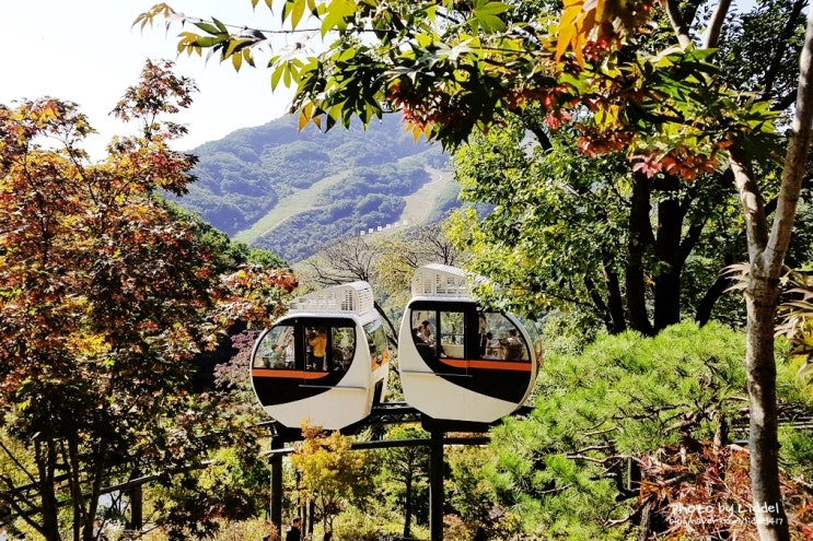  경기도 광주 화담숲 나들이