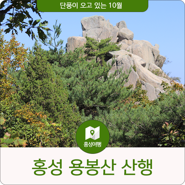  [홍성 여행] 단풍이 오고 있는 10월 용봉산 산행