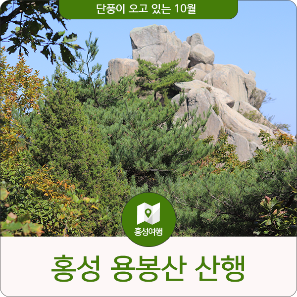 [홍성 여행] 단풍이 오고 있는 10월 용봉산 산행