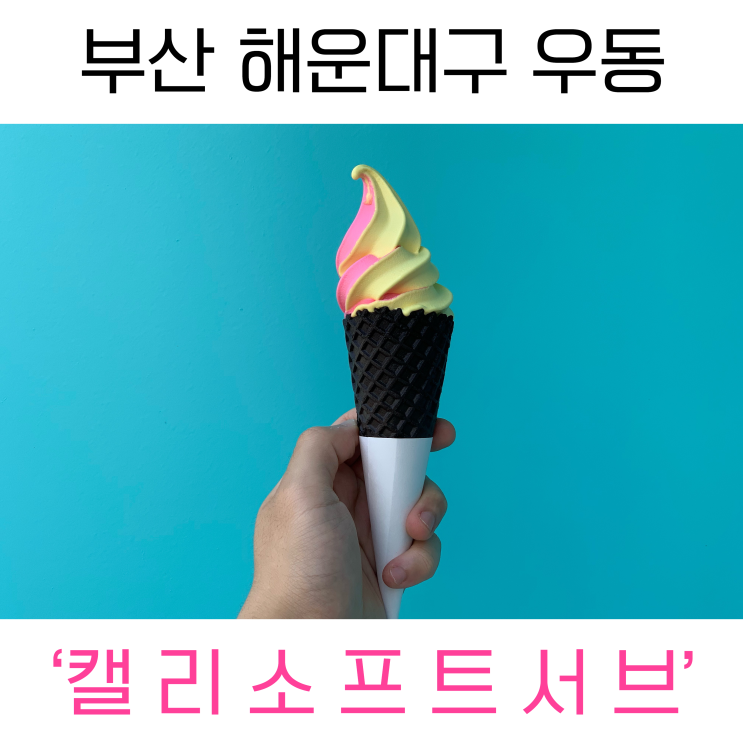  부산 해운대구 우동 ‘캘리소프트서브’