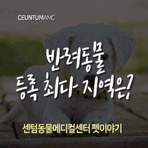  [동물뉴스]반려동물 등록 최다 지역은?(부산분과전문동물병원, 365일연중무휴)
