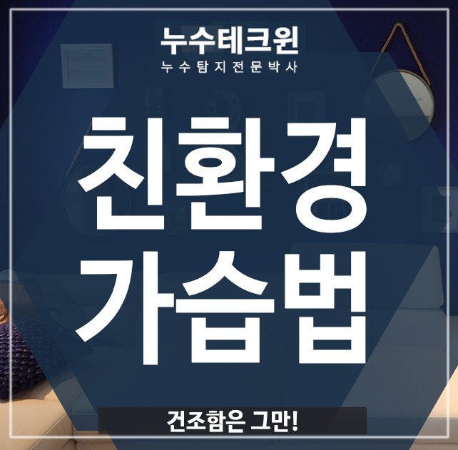  친환경 가습법, 건조함은 그만!