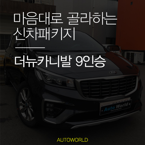  더뉴카니발 튜닝의 기본아이템