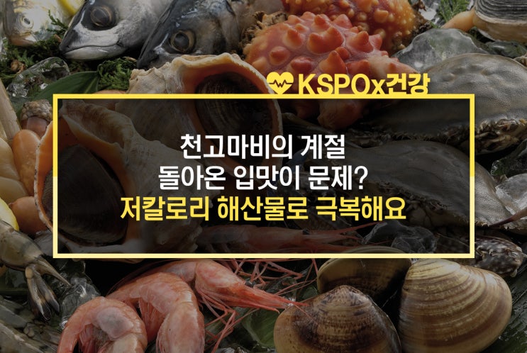  천고마비의 계절, 돌아온 입맛이 문제?...저칼로리 해산물로 극복해요