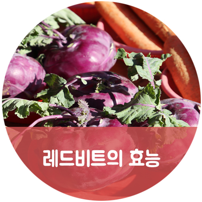  레드비트! 효능과 섭취방법을 알아볼까요?