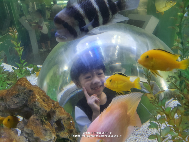 일상 ) 의왕 왕송호수 조류생태과학관 2년만에 또다시 다녀왔다요 (Feat. 경기도 아이와 나들이 가볼만한곳)