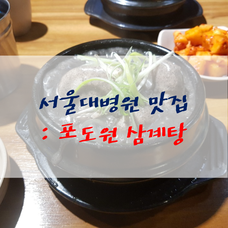 서울대병원 맛집, 혜화 대학로 포도원 삼계탕