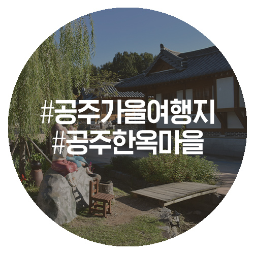  감이 익어가는 가을, 공주한옥마을 가을꽃놀이