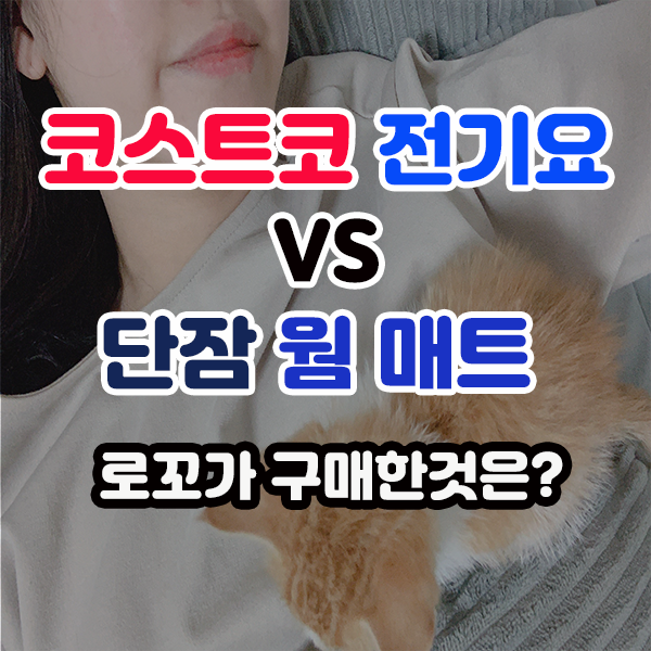  코스트코 전기요 vs 단잠 웜 매트 나의선택은?