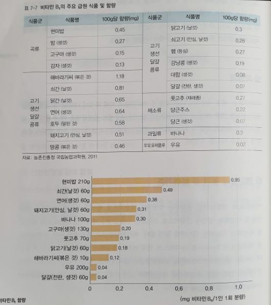 비타민B6(피리독신)효능 및 부작용 권장섭취량 정리 3