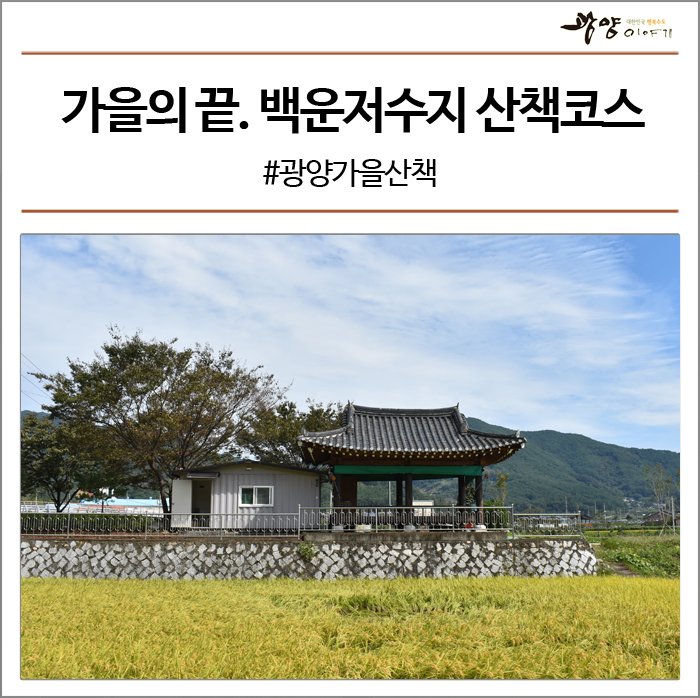  가을의 끝. 백운저수지 산책코스 #광양가을산책