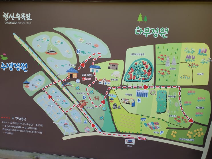 [ 태안여행 ] 청산수목원 팜파스 축제