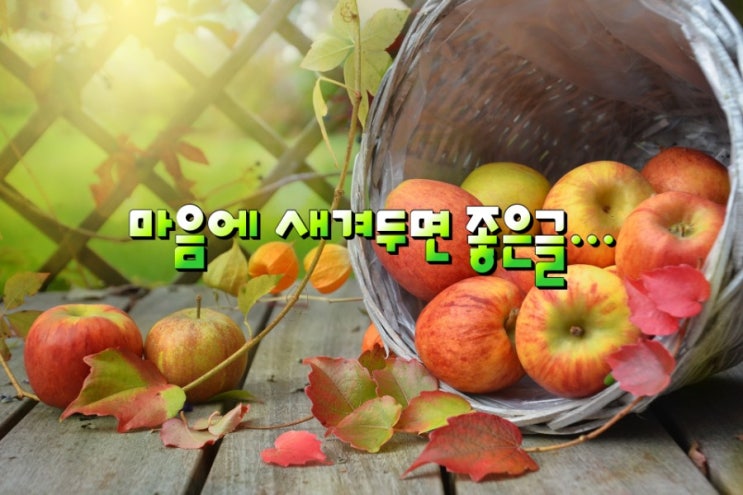  [좋은글] 마음에 새겨두면 좋은글...