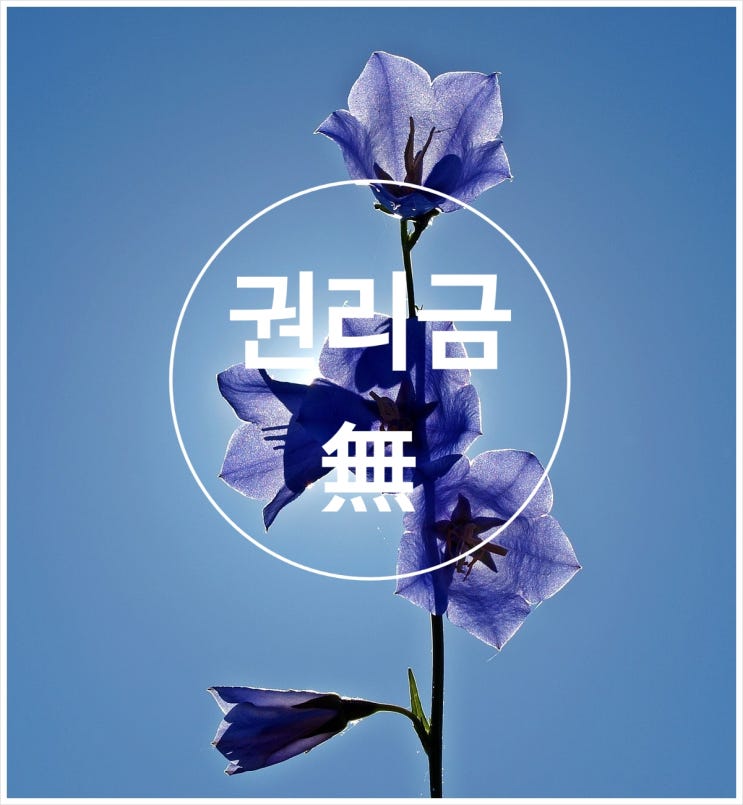  ### 인천 서구 권리금 없는 민간 어린이집 ####