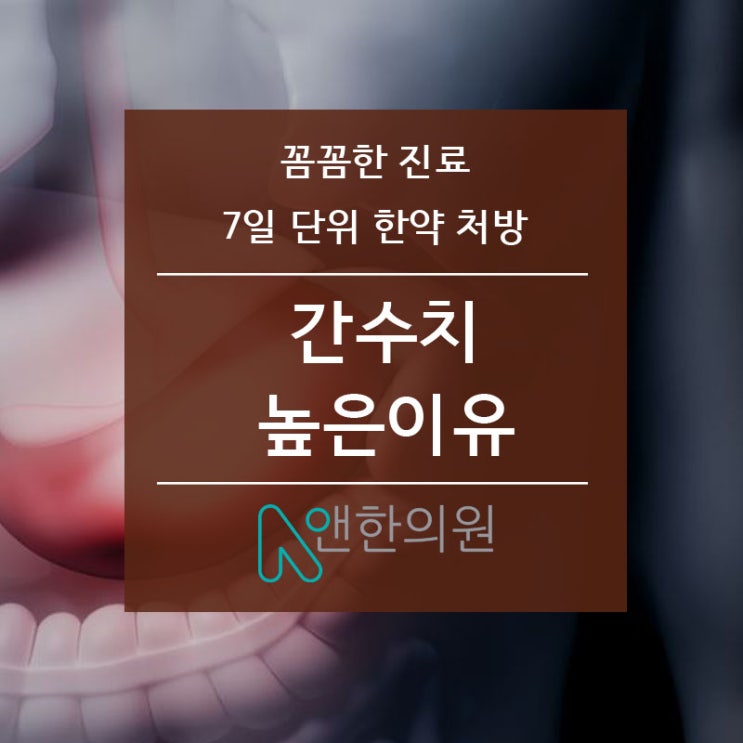 간수치 높은이유 정리입니다.(AST,ALT,ALP,GGT,알부민,빌리루빈 수치)