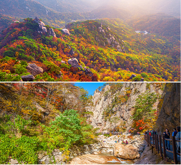  설악산 단풍구경 다녀오세요