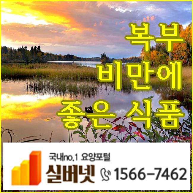  복부 비만에 좋은 식품
