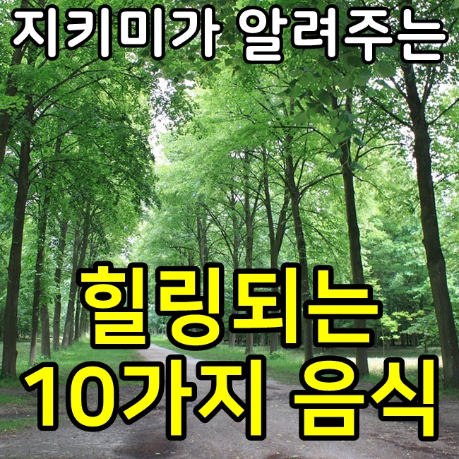  힐링되는 10가지 음식