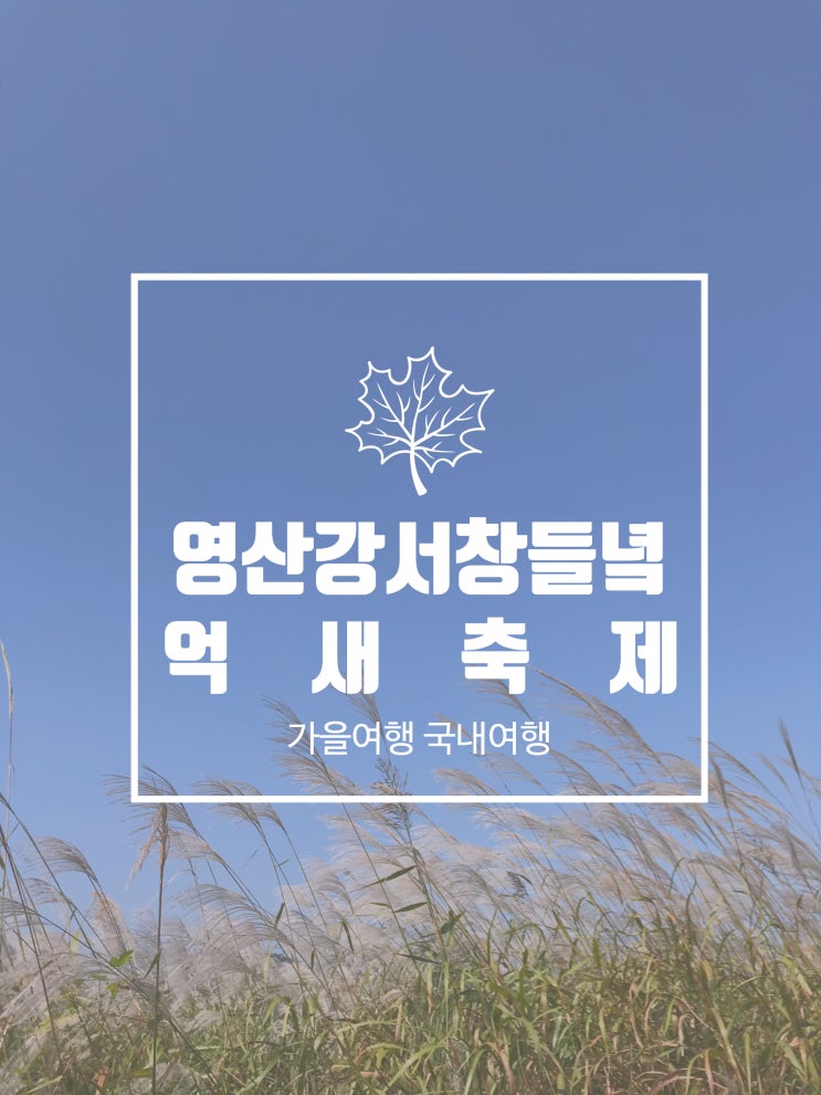  * [ 가을 여행 :: 국내 여행 ] 가을 내음 가득 " 영산강 서창 들녘 억새축제"