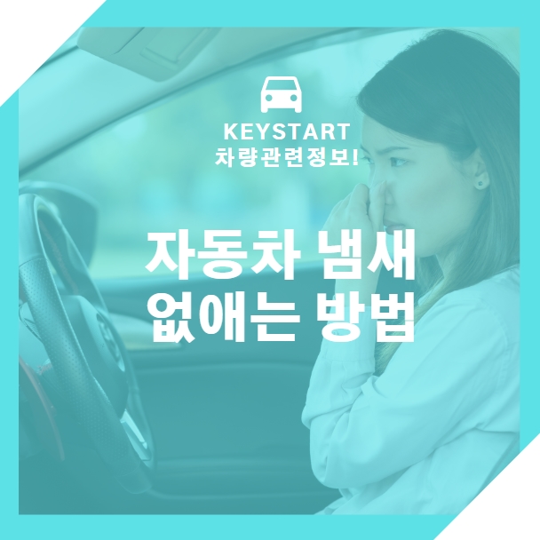 차 냄새 없애는 방법 알아보겠습니다 !