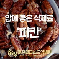  방광암요양병원 주은라파스병원에서 알려드리는 피칸의 효능