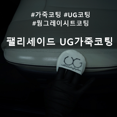  팰리세이드 신차검수 볼펜자국 그리고 UG 코팅 :: 팰리세이드 가죽 코팅은 인케어 디코!