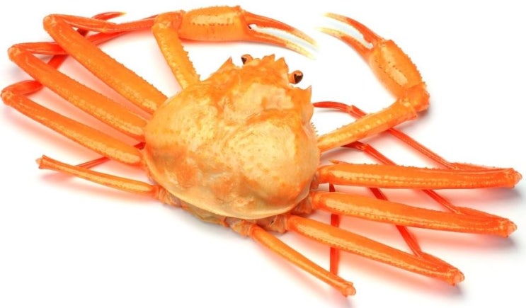  광주킹크랩 용봉동맛집 제철에 싸게 먹고 싶다?
