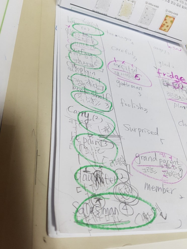  광명 초등 영어)5학년 방문 과외-정소녀