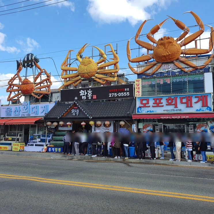  미우새 이상민 포항 홍게 짬뽕 솔직후기