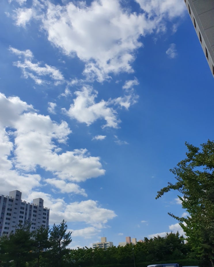  2019.10.12~2019.10.13 늦게 올려보는 주말 일상