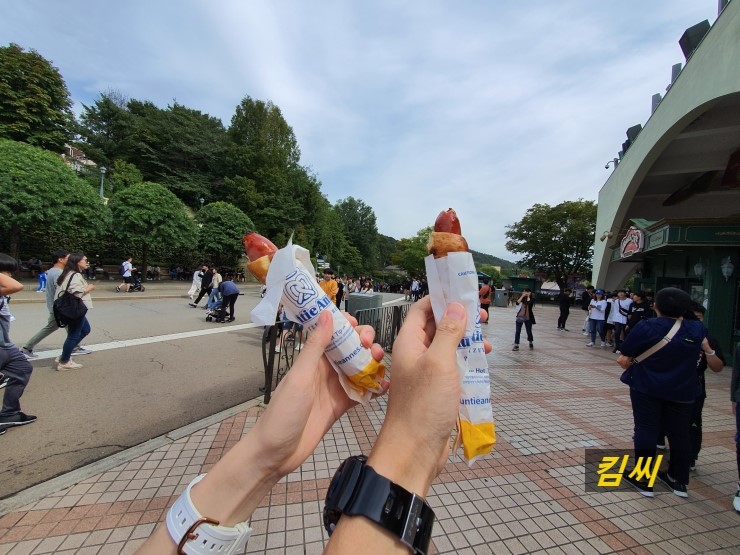  갤럭시노트10 플러스로 찍어본 에버랜드사파리 일상