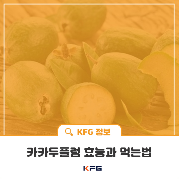  카카두플럼 효능과 먹는법 건강하다!