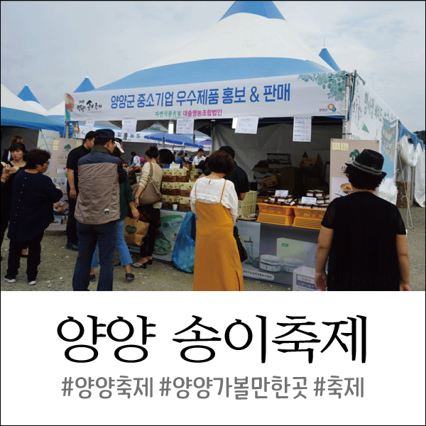  양양 송이축제 다녀온 후기, 먹거리 놀거리 가득한 축제!