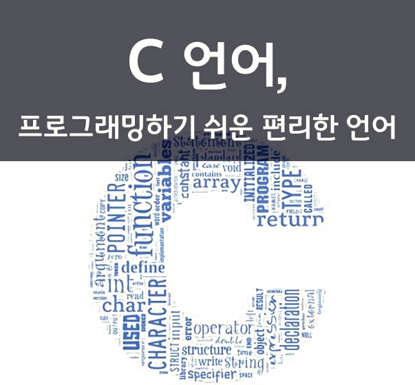  C언어 초보 언제까지 혼자 할래?