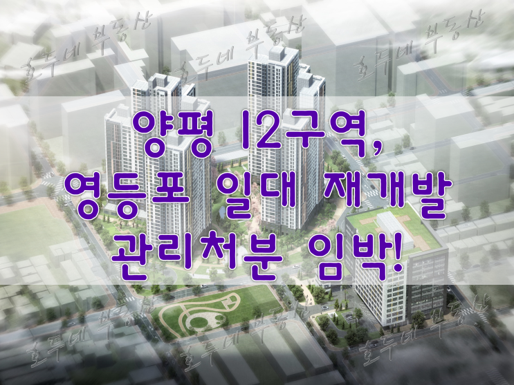  [정비사업] 양평 12구역, 영등포 일대 재개발 관리처분 임박! #호두네부동산