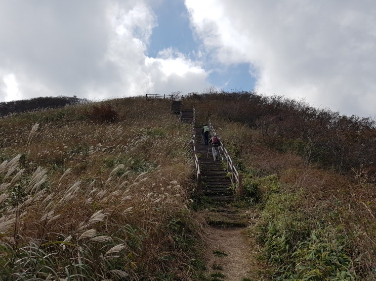  백운산 - 영취산 - 장안산 종주(191015)