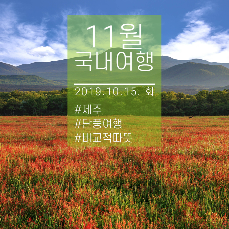  11월 국내여행지 추천 더 추워지기 전에 갈 수 있는 기회.