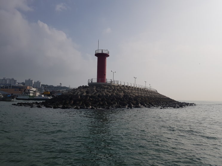  일상 이야기 - 지난여름 먹고 놀았던 일들 8,9월~