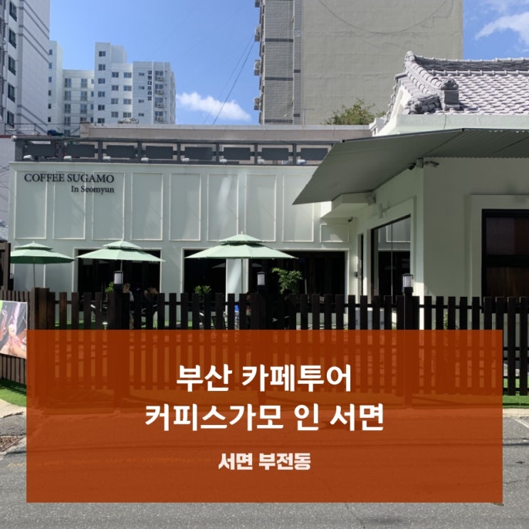 부산 서면 사이폰커피 전문 카페 커피스가모 인 서면