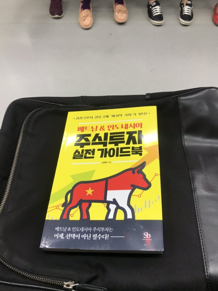  파이어족 : 달리는 출근길 지하철 도서관 ‘베트남&인도네시아주식투자실전가이드북’