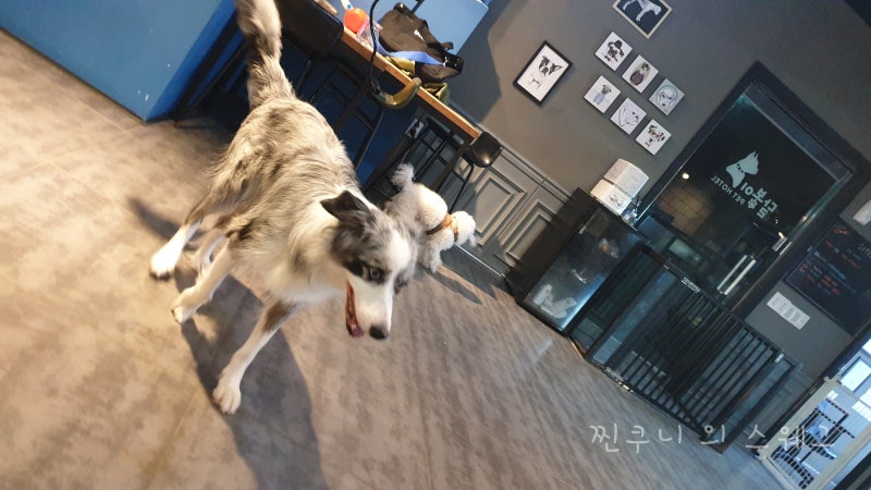 사진 7