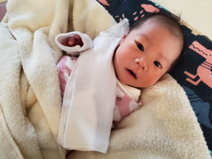  [생후12-15일] 제왕절개회복 x 산후조리 x 모유수유 x 식단
